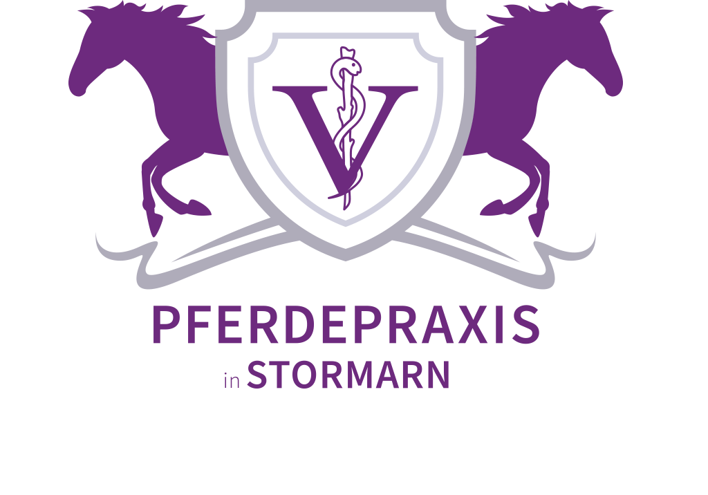 LOGO-Pferdepraxis-Stormarn_Footer-1024×716